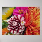 Vivid Dahlias en Zinnias Poster Art Print (Voorkant)