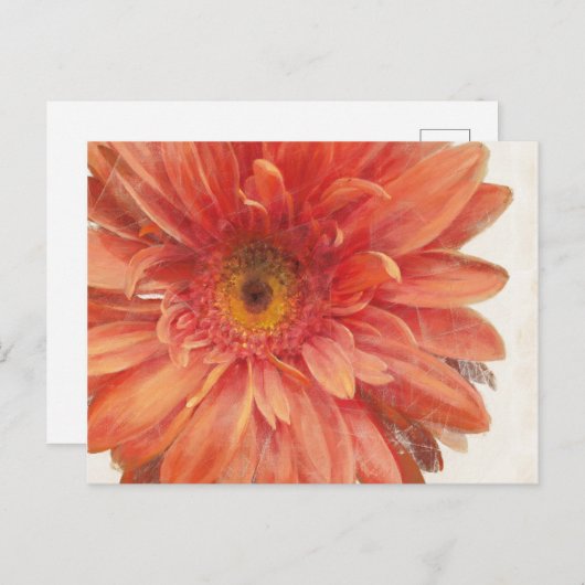 Vivid Daisy Briefkaart (Voorkant / Achterkant)