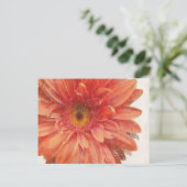 Vivid Daisy Briefkaart (Staand voorkant)