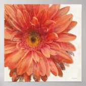 Vivid Daisy Poster (Voorkant)