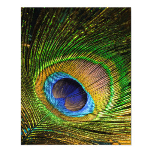 Vivid Feather Foto Afdruk