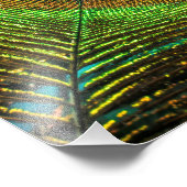 Vivid Feather Foto Afdruk (Hoek)