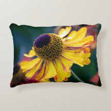 Vivid-gele Helenium met Paars centrum