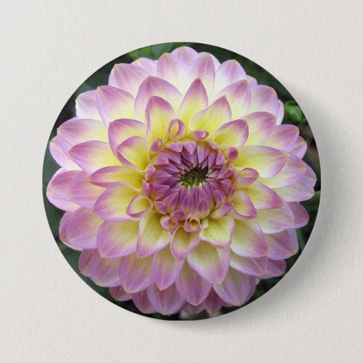 Vivid Lavender Creme Dahlia Ronde Button 7,6 Cm (Voorkant)