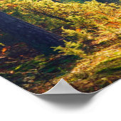 Vivid morning in kleurrijk bos met zonnestralen poster (Hoek)