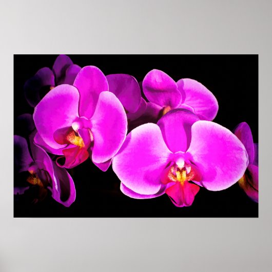 Vivid Orchid Poster (Voorkant)