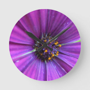 Vivid Paars Daisy Ronde Klok