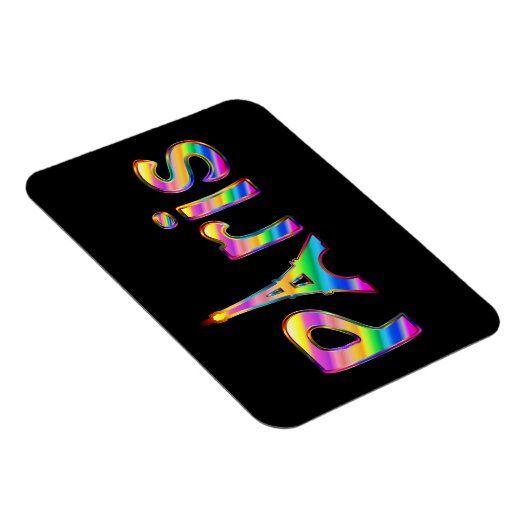 Vivid Paris Magneet (Rechterzijde)