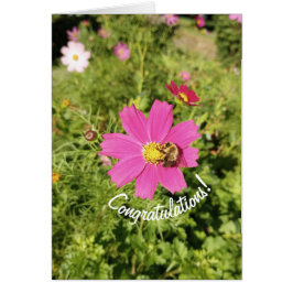 Vivid Pink Cosmos Flower Gefeliciteerd Kaart