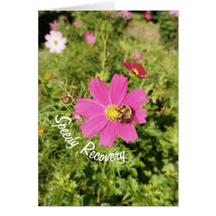 Vivid Pink Cosmos Flower Speedy Recovery Kaart