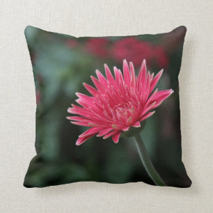 Vivid Pink Gerbera Daisy over de groene achtergron Kussen