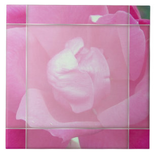Vivid Pink Rose 2 Foto Keramische Tegels Tegeltje
