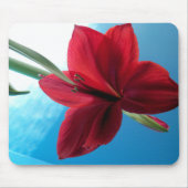 Vivid red Amaryllis Flower Muismat (Voorkant)