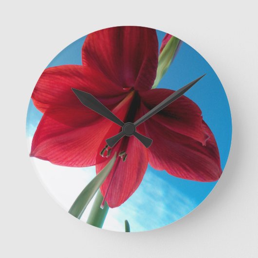 Vivid red Amaryllis Flower Ronde Klok (Voorkant)