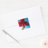 Vivid red Amaryllis Flower Vierkante Sticker (Envelop)