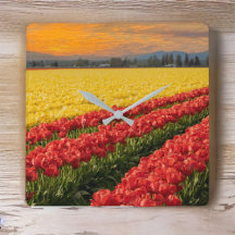 Vivid Red en Gold Tulips in Skagit County Accent