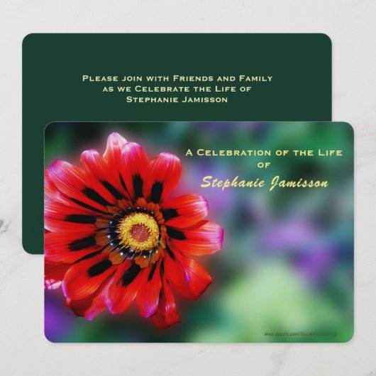Vivid Red Flower Gazania Kaart (Voorkant / Achterkant)