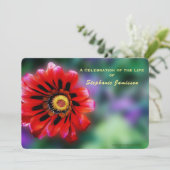Vivid Red Flower Gazania Kaart (Staand voorkant)