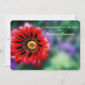 Vivid Red Flower Gazania Kaart (Voorkant)