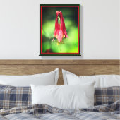 Vivid Red Wild Columbine Flower Canvas Afdruk (Insitu (Slaapkamer))
