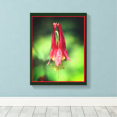 Vivid Red Wild Columbine Flower Canvas Afdruk (Insitu (Houten vloer))