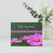 Vivid roze kosmos Flowers Briefkaart (Staand voorkant)