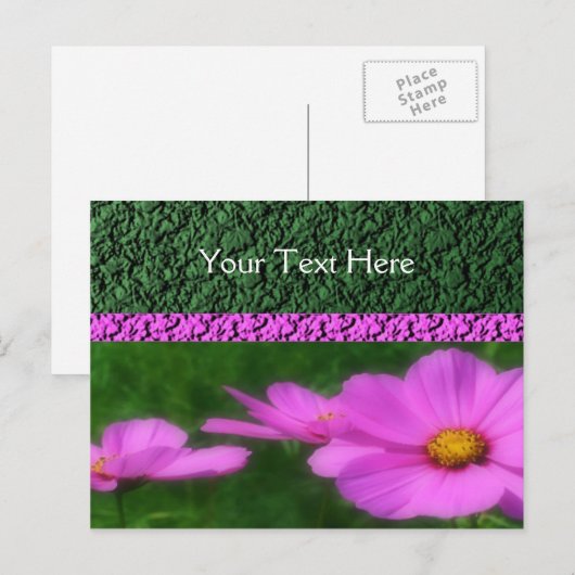 Vivid roze kosmos Flowers Briefkaart (Voorkant / Achterkant)