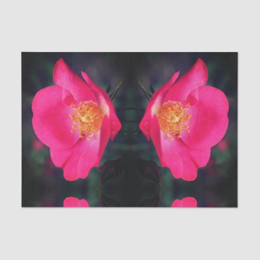 Vivid roze Rose Petals Abstracte ontbinding van Fl Tissuepapier (Voorkant)