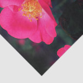 Vivid roze Rose Petals Abstracte ontbinding van Fl Tissuepapier (Detail)