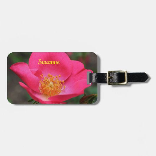 Vivid roze roze roze roze roze roze roze roze roze bagagelabel (Voorkant horizontaal)