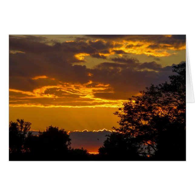 Vivid Sunset met vliegende vogels (Voorkant Horizontaal)