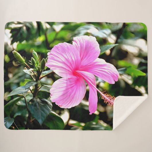 Vivid Tropical Pink Hibiscus Sherpa Deken (Voorkant (horizontaal))