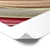 Vivid Velocity Poster (Hoek)