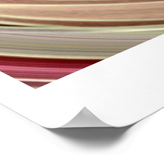 Vivid Velocity Poster (Hoek)