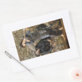 Viviens Beguiling van Merlijn (Edward Burne-Jones) Rechthoekige Sticker (Envelop)