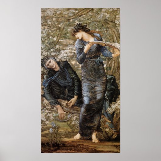 Vivien's Teasing of Merlin (Edward Burne-Jones) Poster (Voorkant)