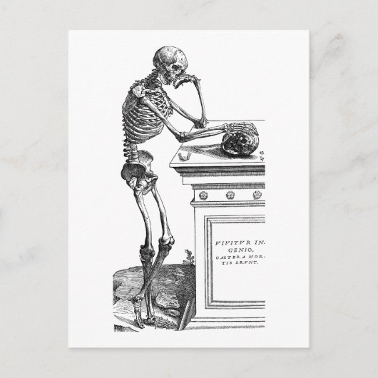 Vivitur Ingenio - Skeleton Briefkaart (Voorkant)