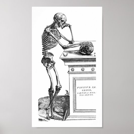 Vivitur Ingenio - Skeleton Poster (Voorkant)