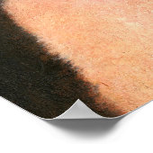  Vixen Poster afdrukken (Hoek)