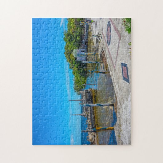 Vizcaya Florida Legpuzzel (Verticaal)