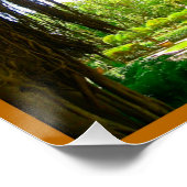 Vizcaya Museum en Botanische Garden Miami Florida Poster (Hoek)