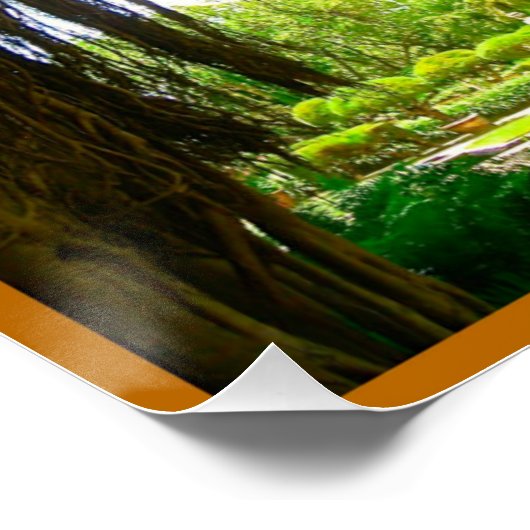 Vizcaya Museum en Botanische Garden Miami Florida Poster (Hoek)