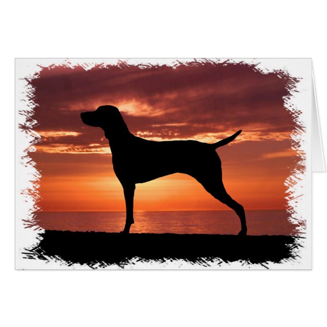 Vizsla (Voorkant Horizontaal)