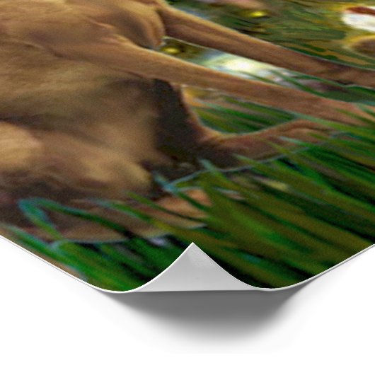 Vizsla 1 - MidEve Poster (Hoek)