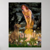 Vizsla 1 - MidEve Poster (Voorkant)