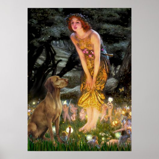 Vizsla 1 - MidEve Poster (Voorkant)