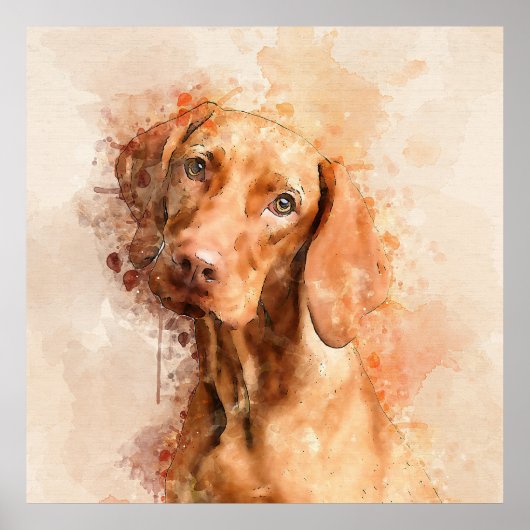 Vizsla Aquarel Poster (Voorkant)