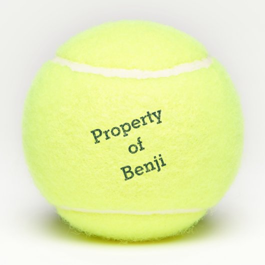 Vizsla Blauwgroen gepersonaliseerd Tennisballen (Achterkant)