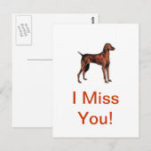 Vizsla Briefkaart (Voorkant / Achterkant)