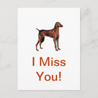 Vizsla Briefkaart